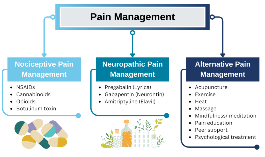 Infographic listing pain management methods for the three different types of pain. Includes nociceptive pain management, neuropathic pain management, and alternative pain management.