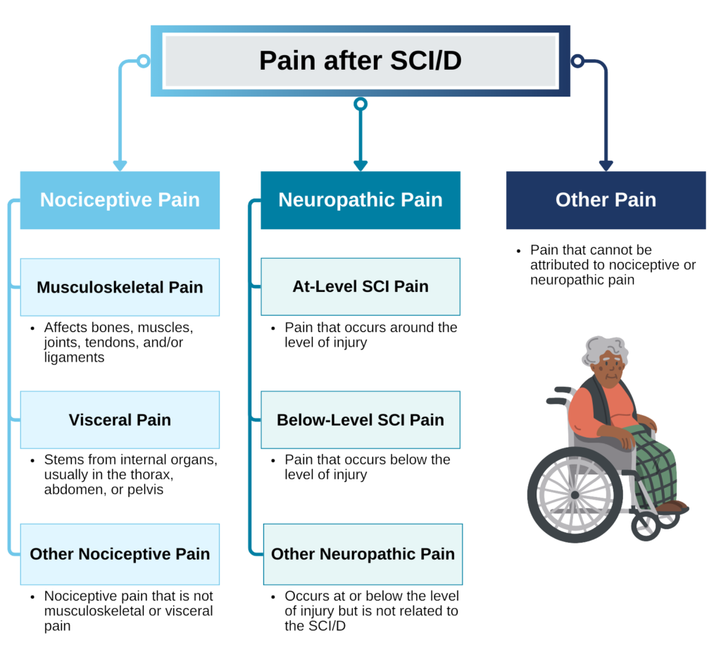Infographic demonstrating three types of pain after SCI/D: nociceptive pain, neuropathic pain, and other pain.